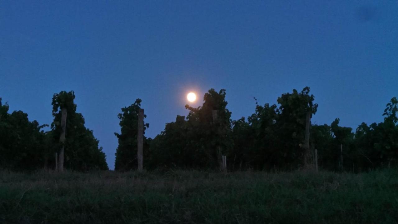 Dom Peyreton Prestige Cottages Set In A Charming Wine Property Villegouge Eksteriør billede